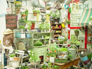 a0011999_22475659.jpg
