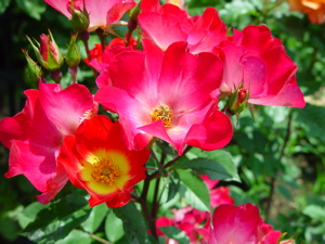 a0011999_22512054.jpg