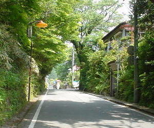 d0040609_115509.jpg