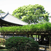 d0033734_1035114.jpg