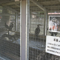 d0033734_10362638.jpg