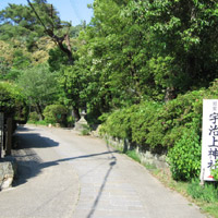 d0033734_1142344.jpg