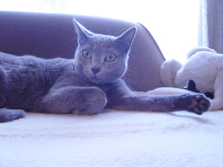 b0034284_044682.jpg