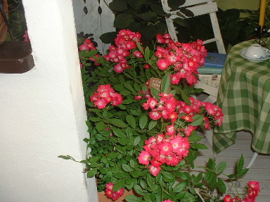 c0073186_11442562.jpg