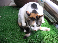 a0024005_234411.jpg