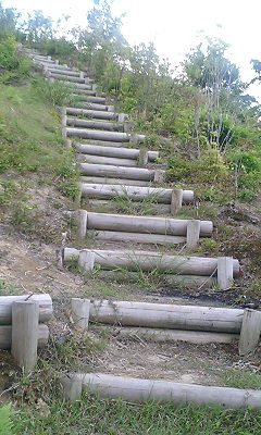 b0051713_4325999.jpg