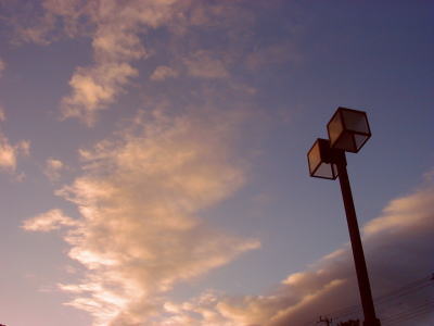 d0006718_1741314.jpg