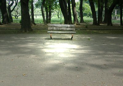 d0032931_11155761.jpg