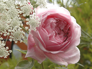 c0048042_22283755.jpg