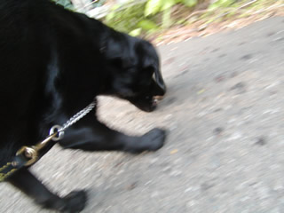 c0061964_20241594.jpg