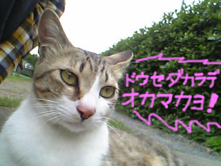 d0040794_22292263.jpg