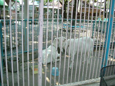 c0044199_22322636.jpg