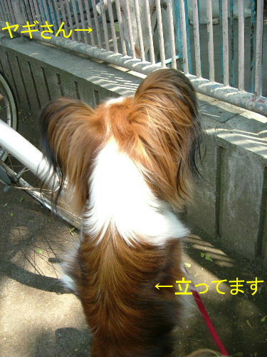 c0044199_22584170.jpg