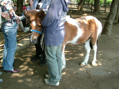 c0044199_23345069.jpg