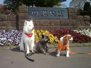 d0009101_19344749.jpg