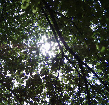 b0058229_11105581.jpg