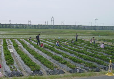 a0003032_1923526.jpg