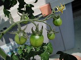 b0021937_23112923.jpg