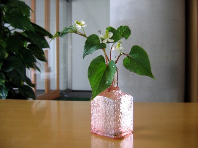 c0033541_2135151.jpg