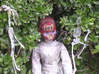 c0065643_20284650.jpg