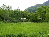 d0029145_12525256.jpg