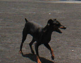 c0012571_11454928.jpg