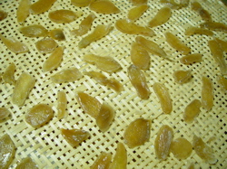 a0011999_23522820.jpg