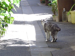 c0006904_16441673.jpg