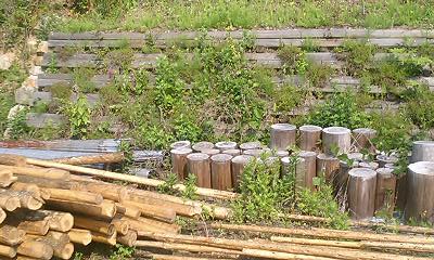 b0051713_23305352.jpg