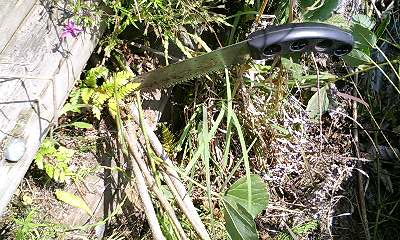 b0051713_23395166.jpg
