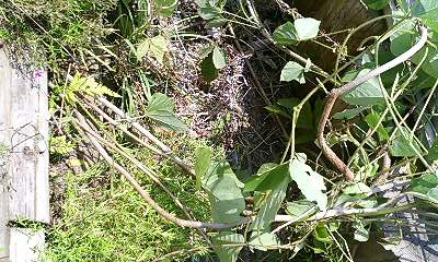 b0051713_23402643.jpg