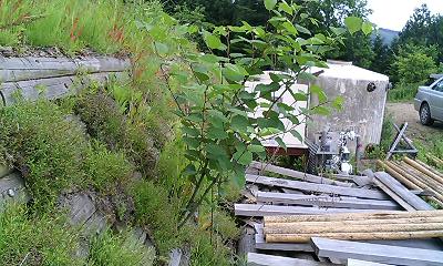 b0051713_23475925.jpg