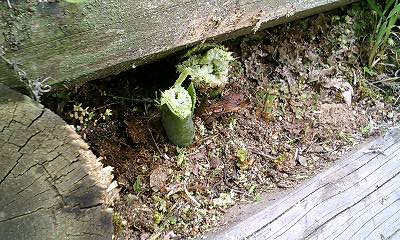 b0051713_2351265.jpg