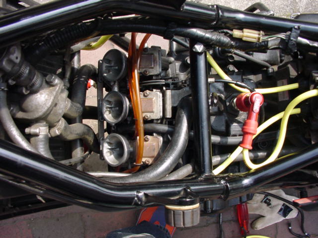 c0007818_1321464.jpg