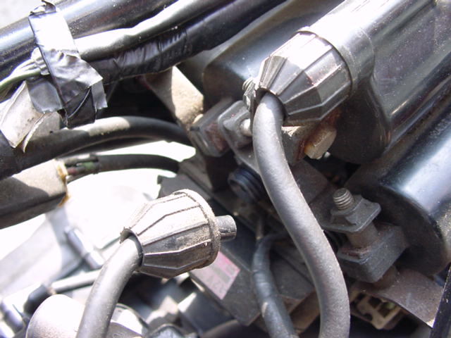 c0007818_1321549.jpg