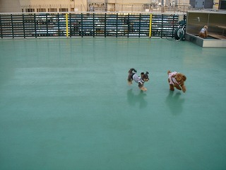 d0023323_2258147.jpg