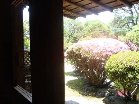 c0072432_2338591.jpg