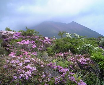 b0058840_151138.jpg