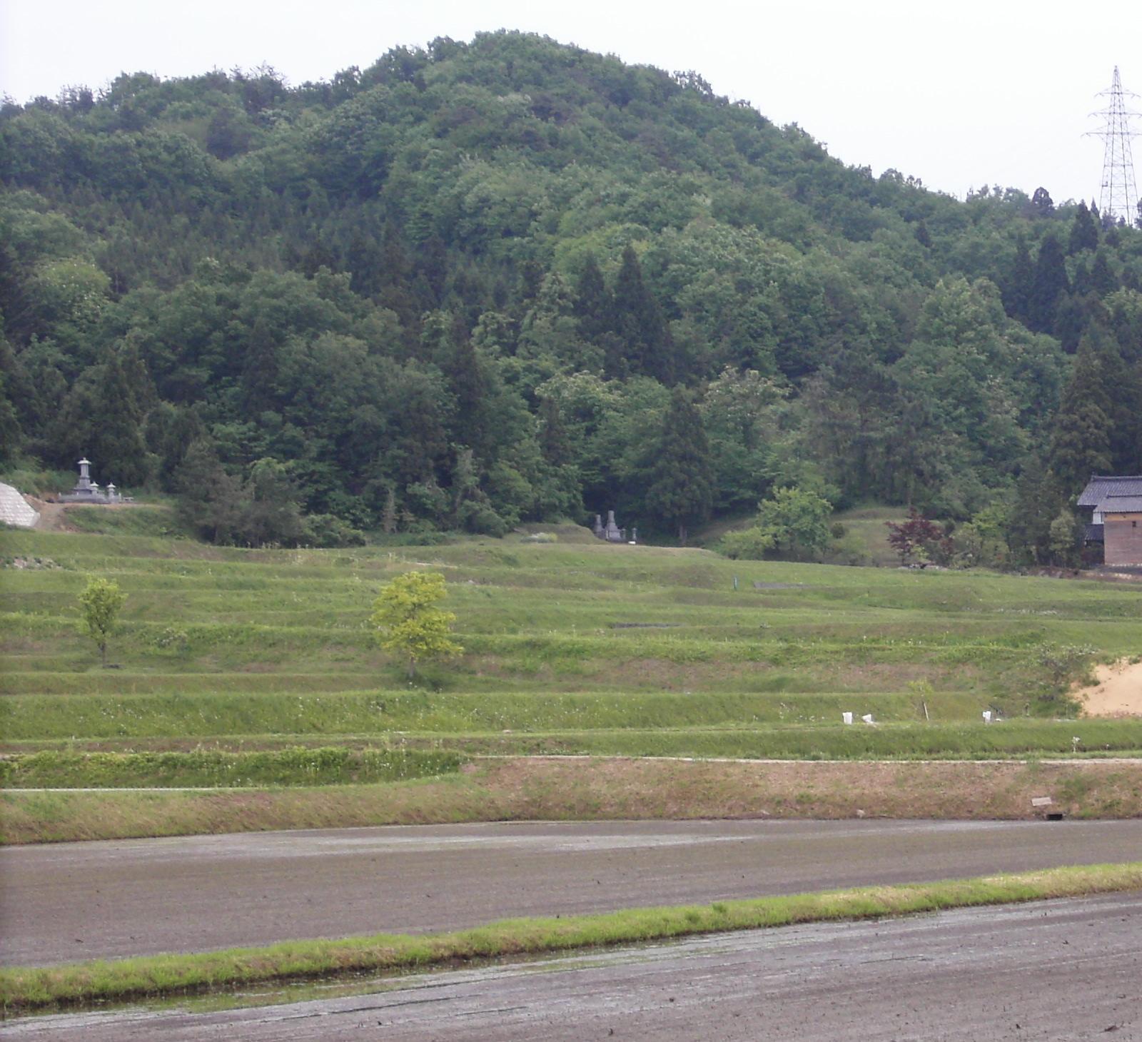 c0026846_9495897.jpg