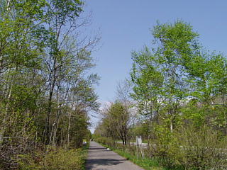 c0074156_2126359.jpg
