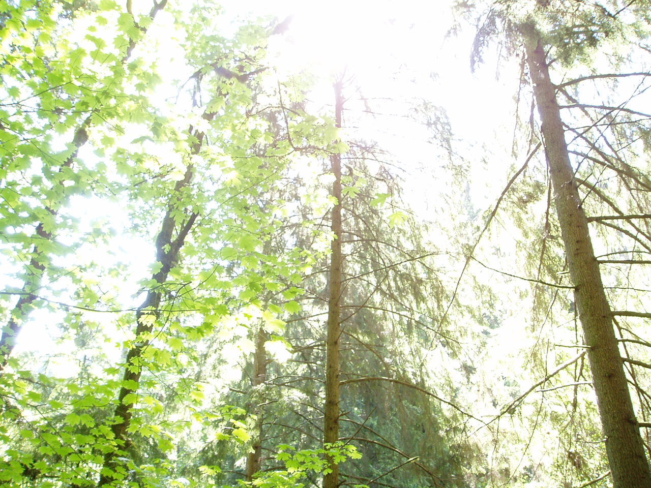 c0073161_5315070.jpg