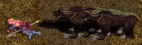 c0075363_4423941.jpg