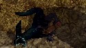 c0075363_450553.jpg