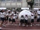 d0004574_18321018.jpg