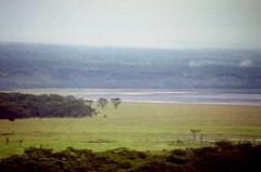 b0015290_2123410.jpg