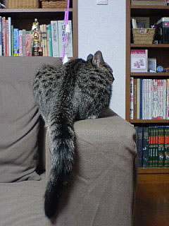 c0035001_14544595.jpg