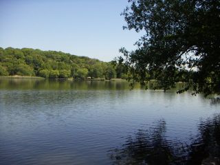 b0057103_3462973.jpg