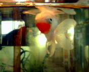 c0008906_16131519.jpg