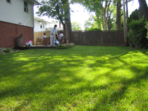 b0059509_1036026.jpg