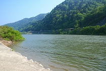 a0036412_201991.jpg